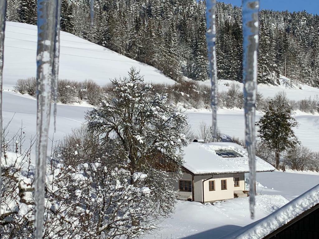 Bobbies Nest Schladming Exterior photo