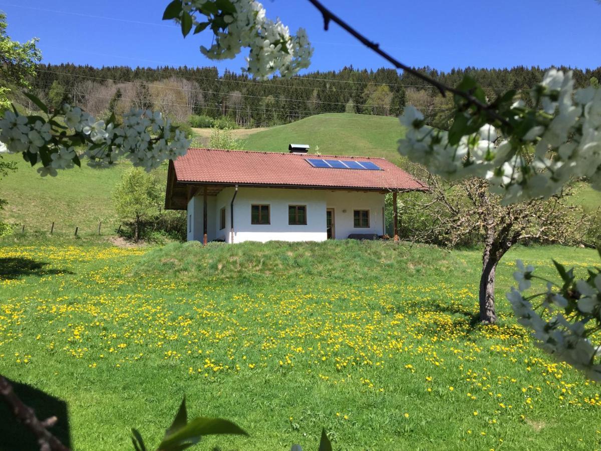 Bobbies Nest Schladming Exterior photo